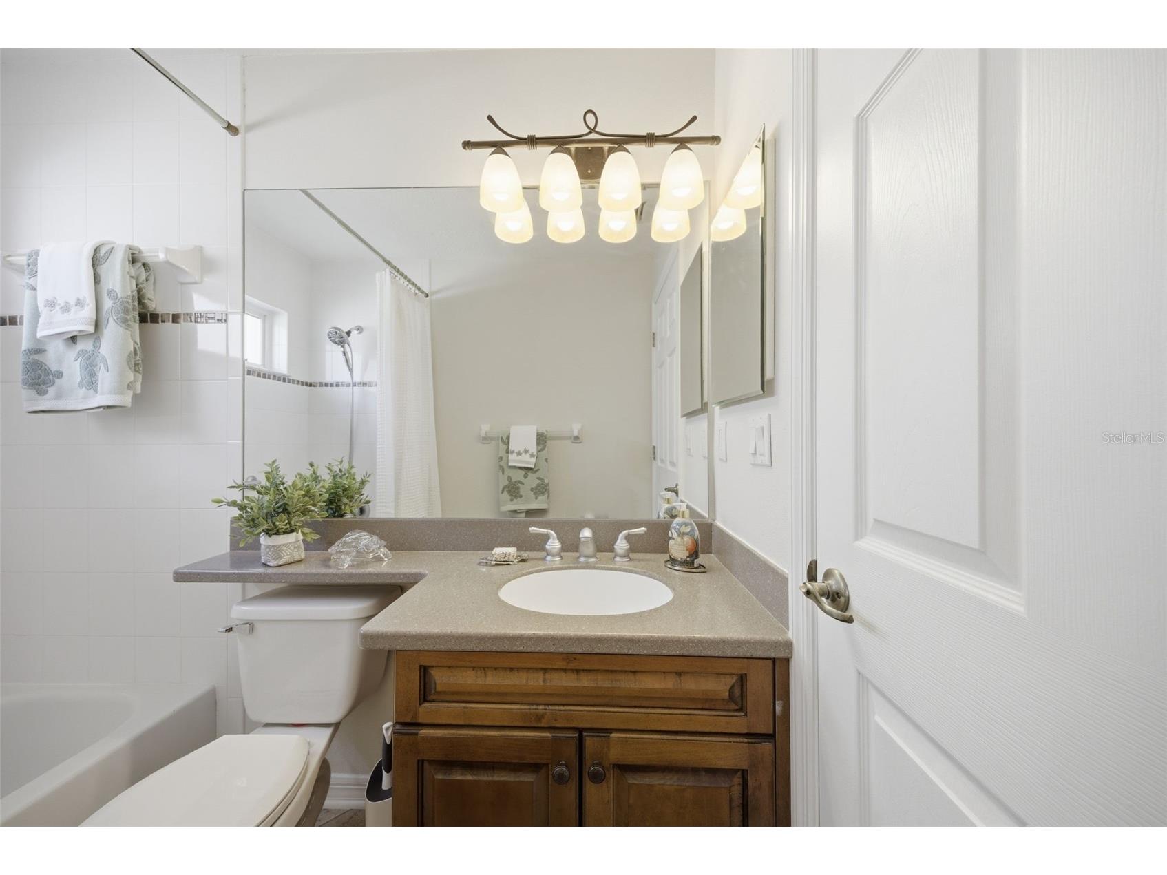 5163 Pinnacle Drive Oldsmar FL 34677 TB8510486 image28