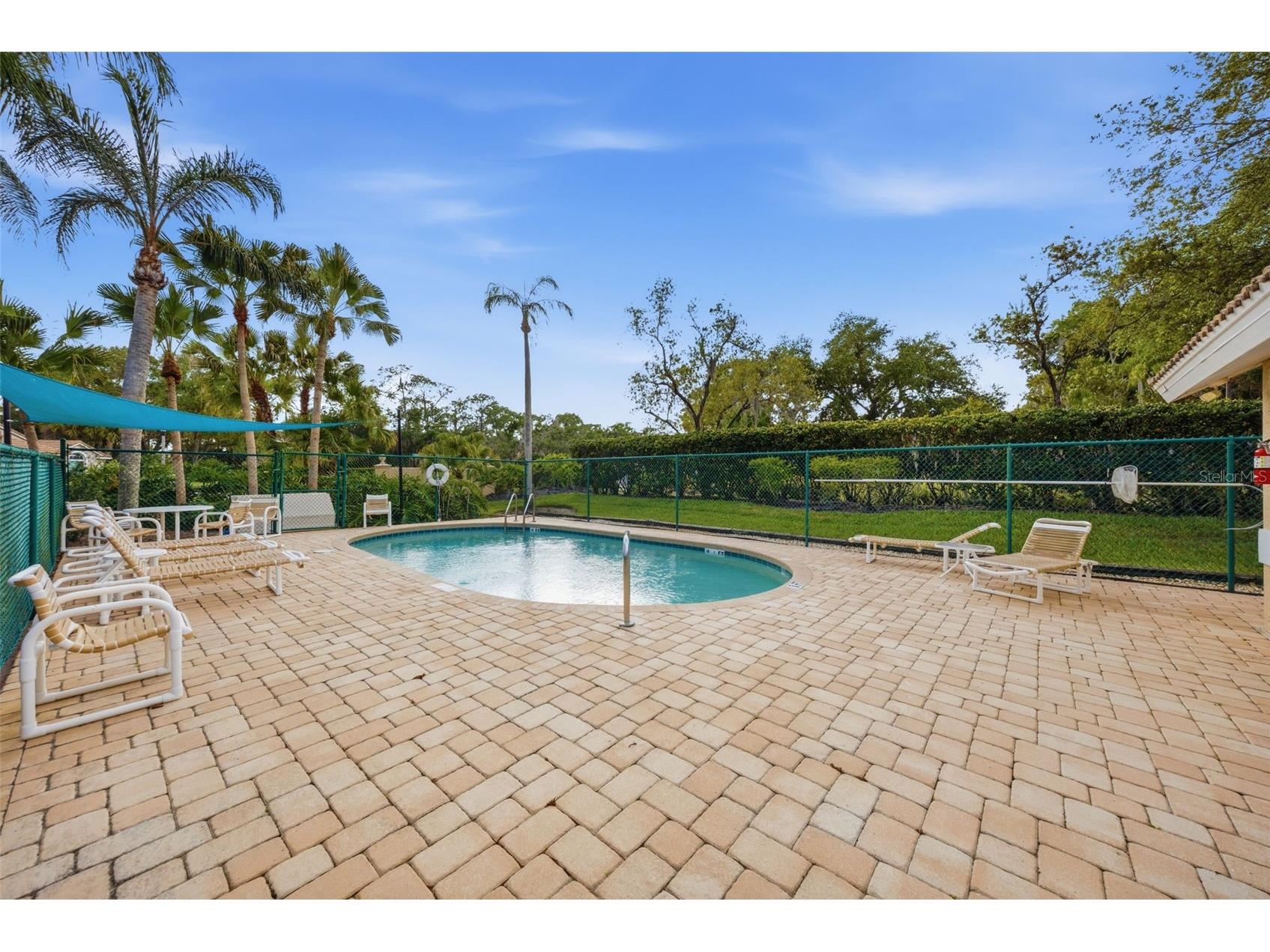 5163 Pinnacle Drive Oldsmar FL 34677 TB8510486 image36