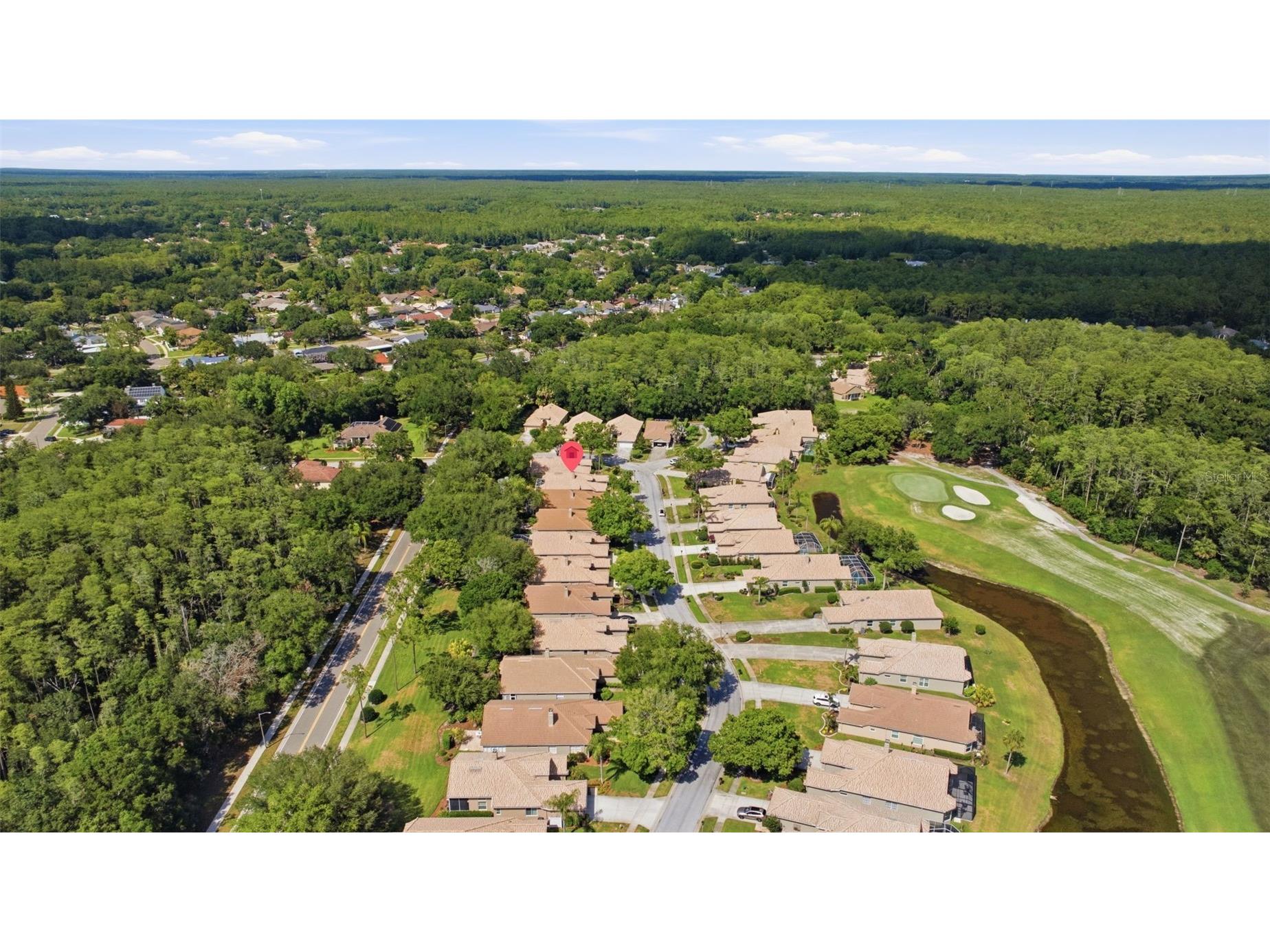 5163 Pinnacle Drive Oldsmar FL 34677 TB8510486 image37