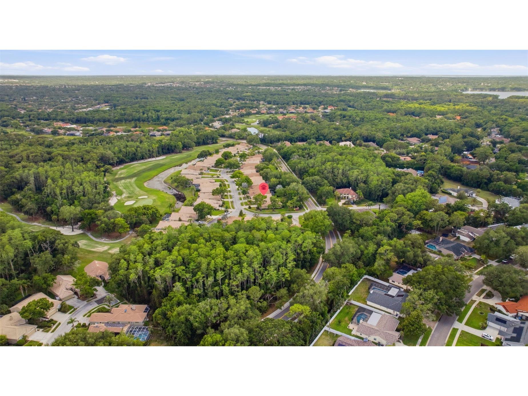 5163 Pinnacle Drive Oldsmar FL 34677 TB8510486 image39