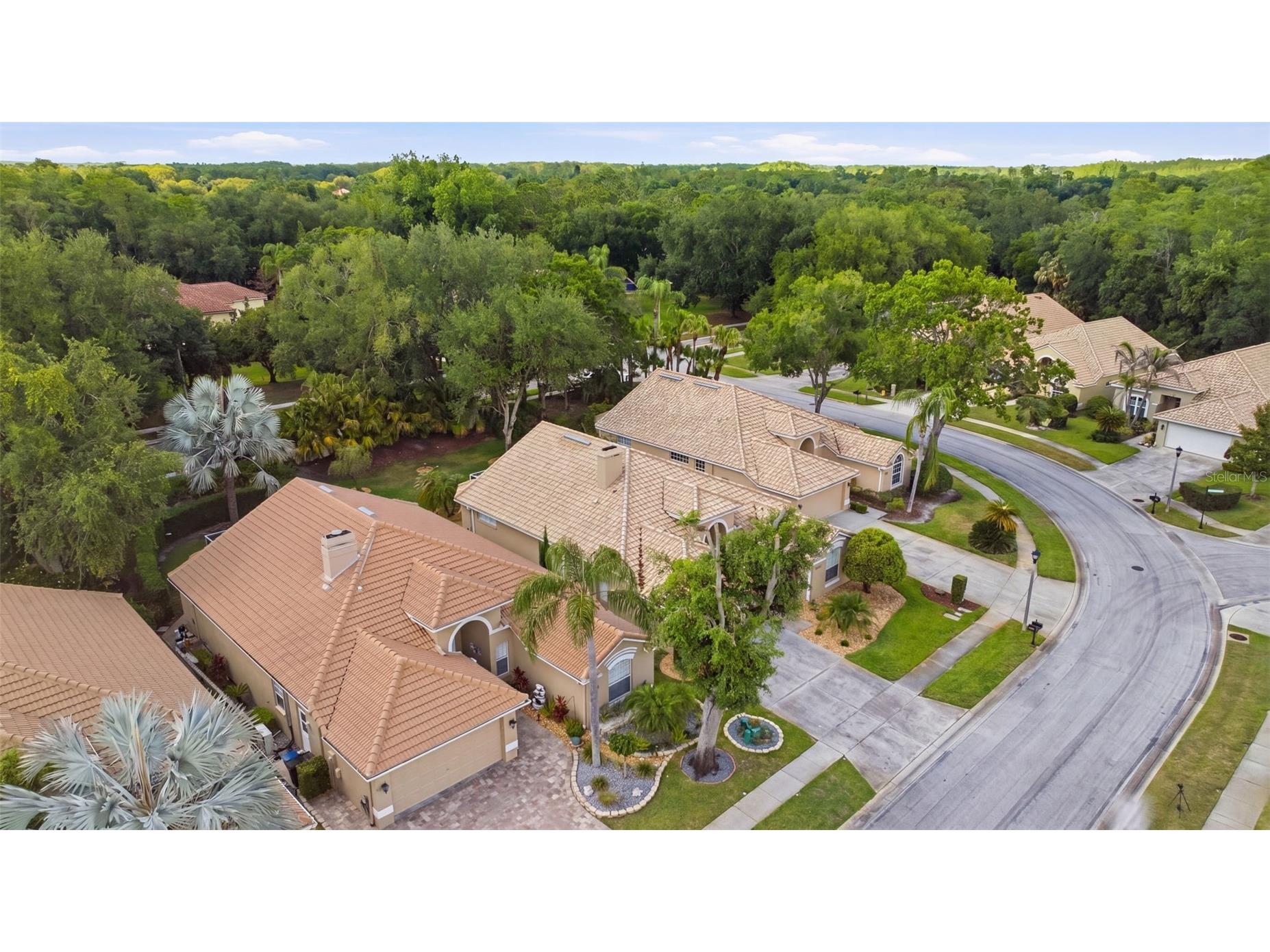 5163 Pinnacle Drive Oldsmar FL 34677 TB8510486 image42