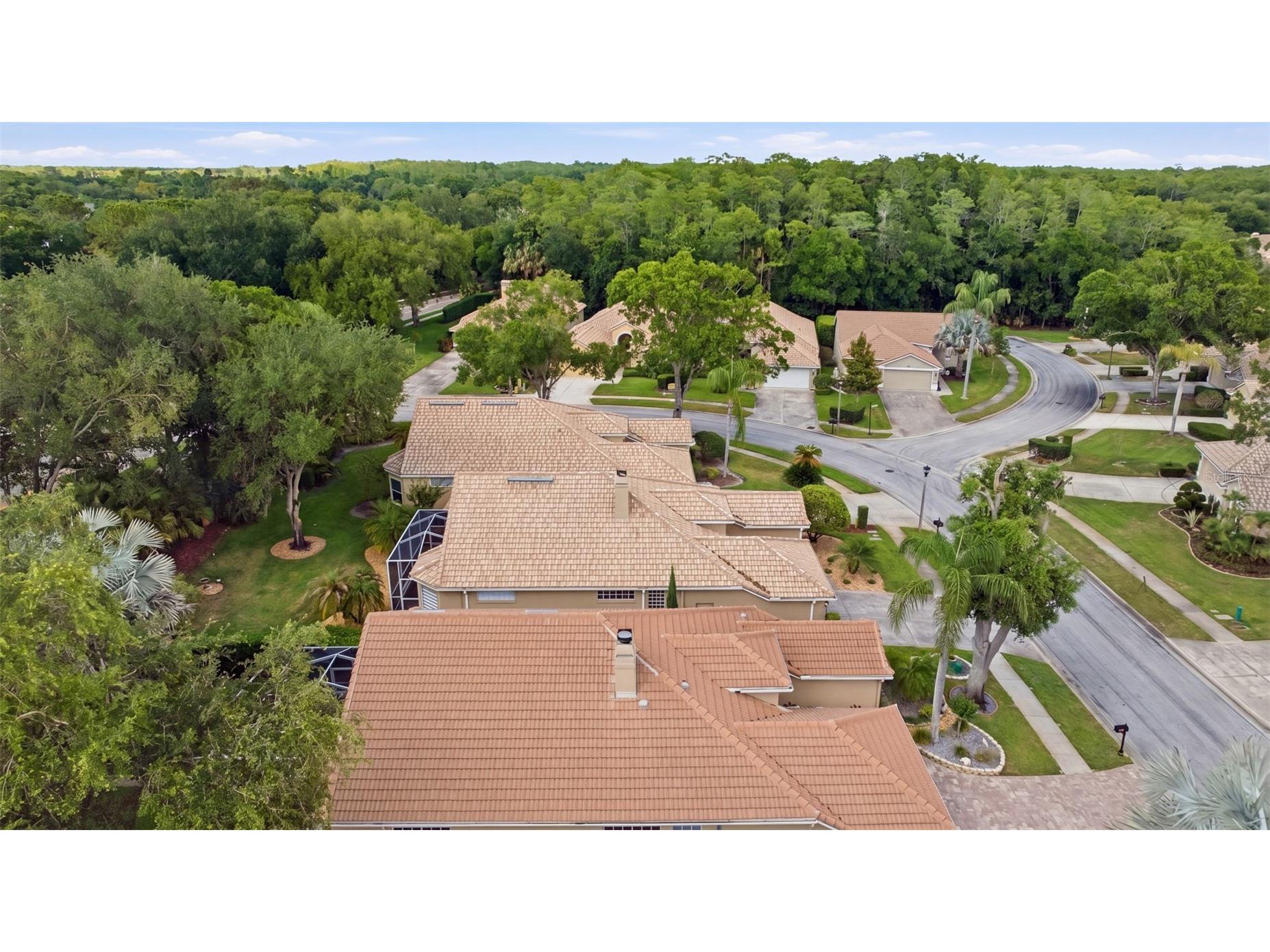 5163 Pinnacle Drive Oldsmar FL 34677 TB8510486 image43