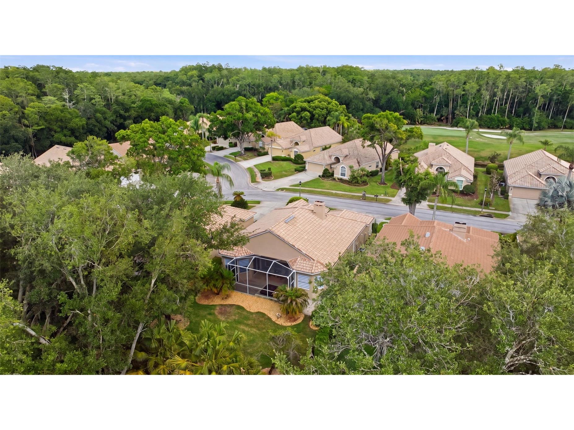 5163 Pinnacle Drive Oldsmar FL 34677 TB8510486 image44