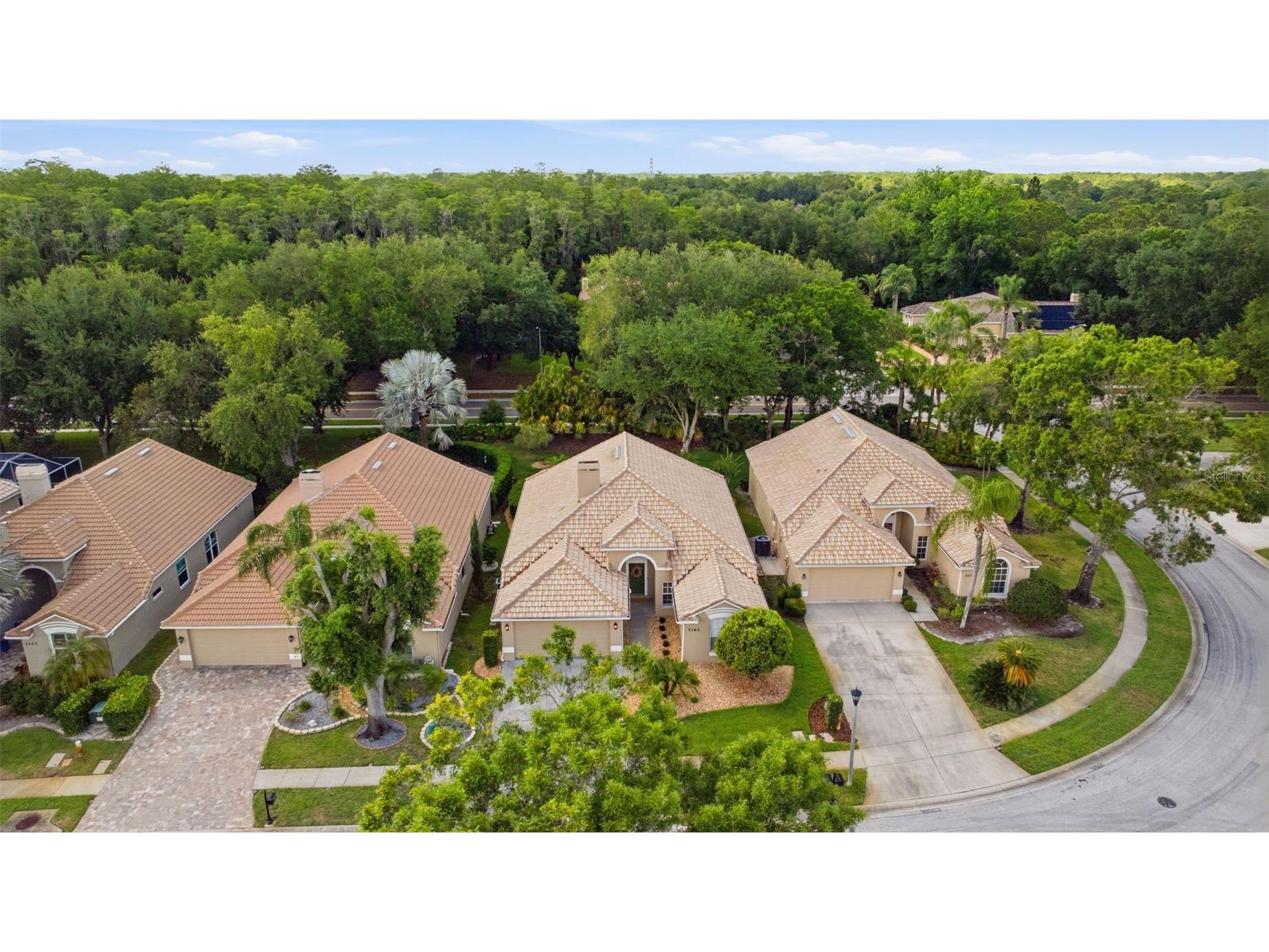 5163 Pinnacle Drive Oldsmar FL 34677 TB8510486 image45