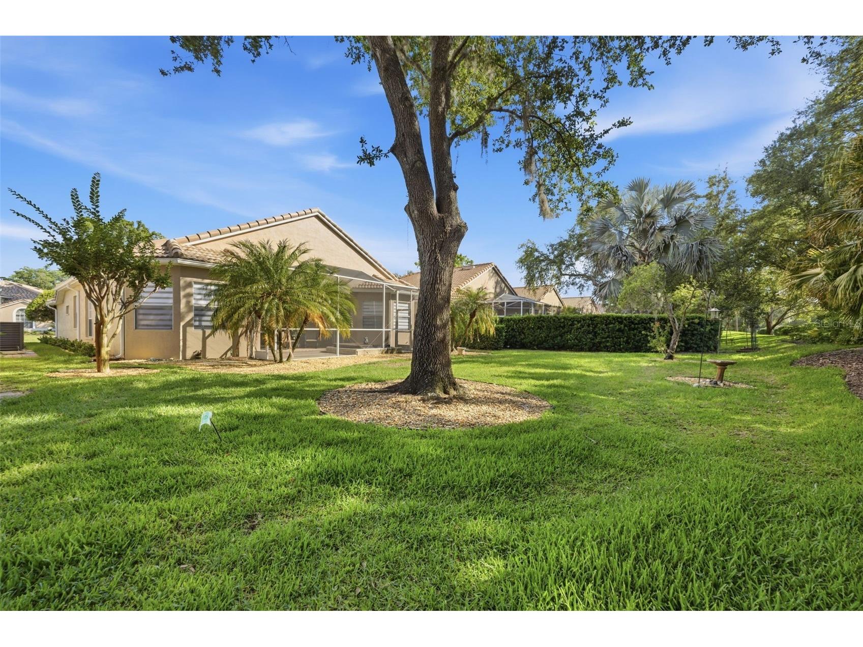 5163 Pinnacle Drive Oldsmar FL 34677 TB8510486 image46