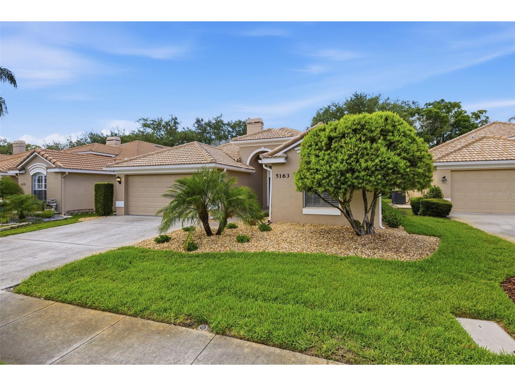 5163 Pinnacle Drive Oldsmar FL 34677 TB8510486 image47
