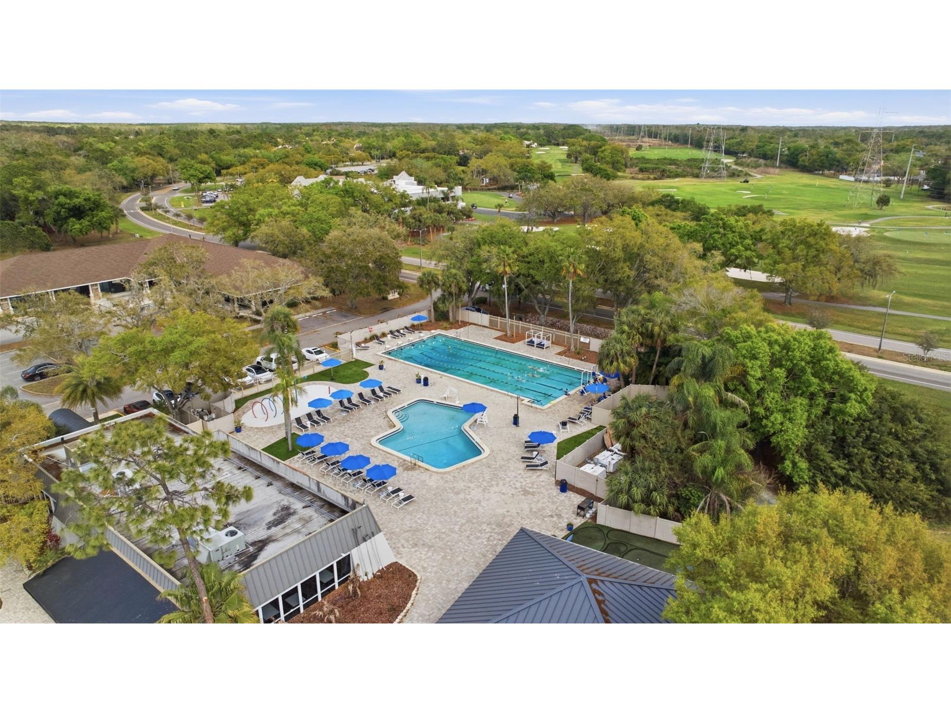 5163 Pinnacle Drive Oldsmar FL 34677 TB8510486 image52
