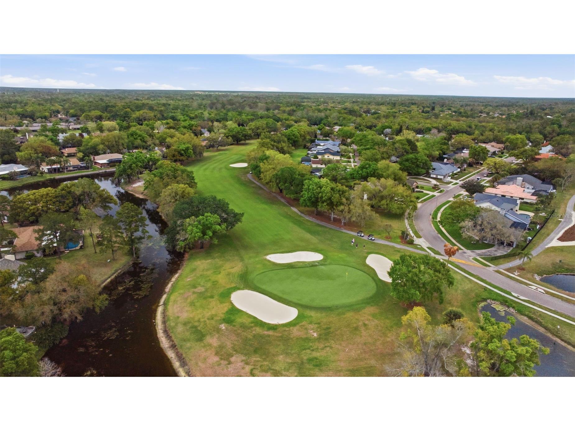 5163 Pinnacle Drive Oldsmar FL 34677 TB8510486 image56