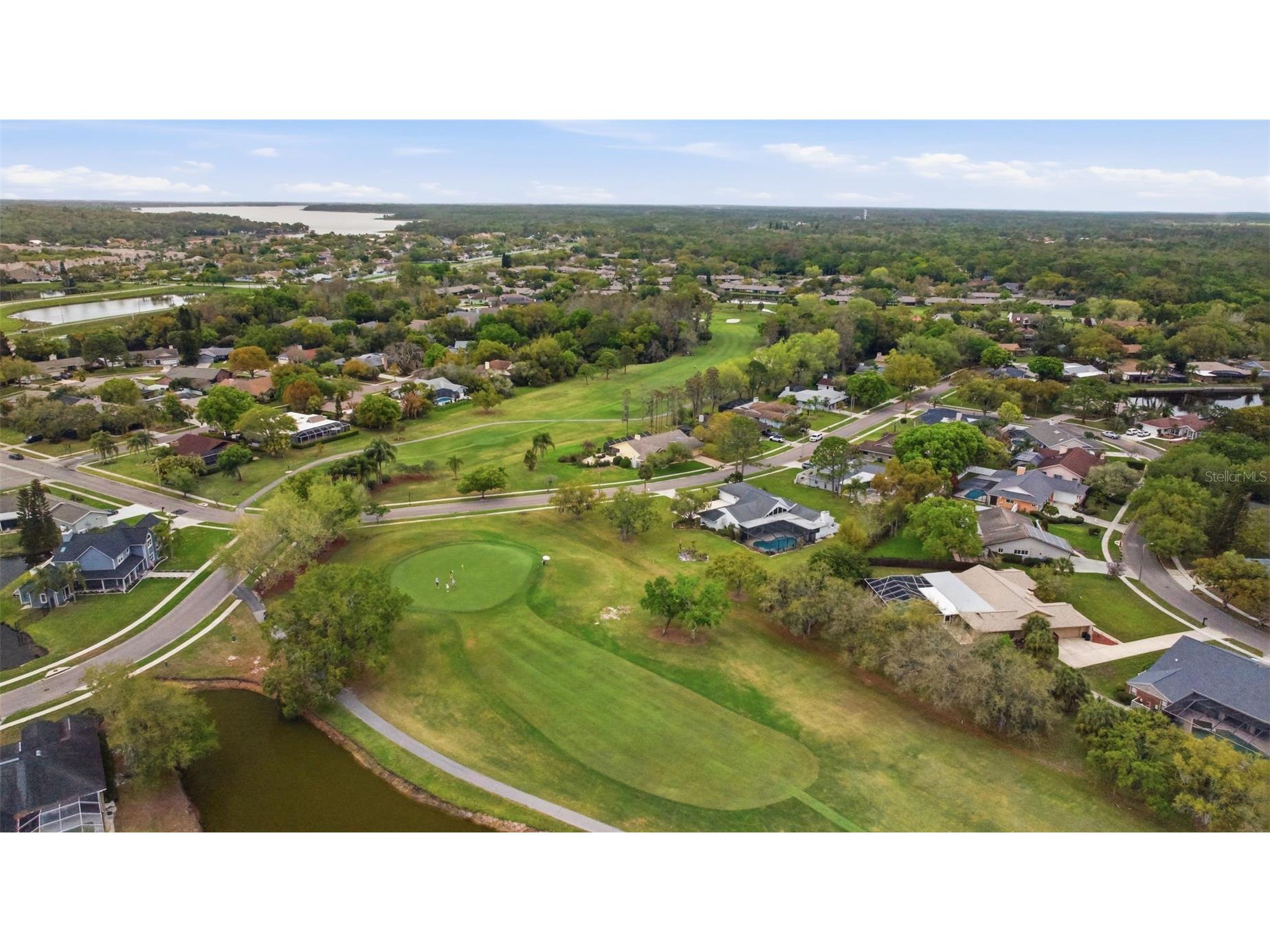 5163 Pinnacle Drive Oldsmar FL 34677 TB8510486 image57