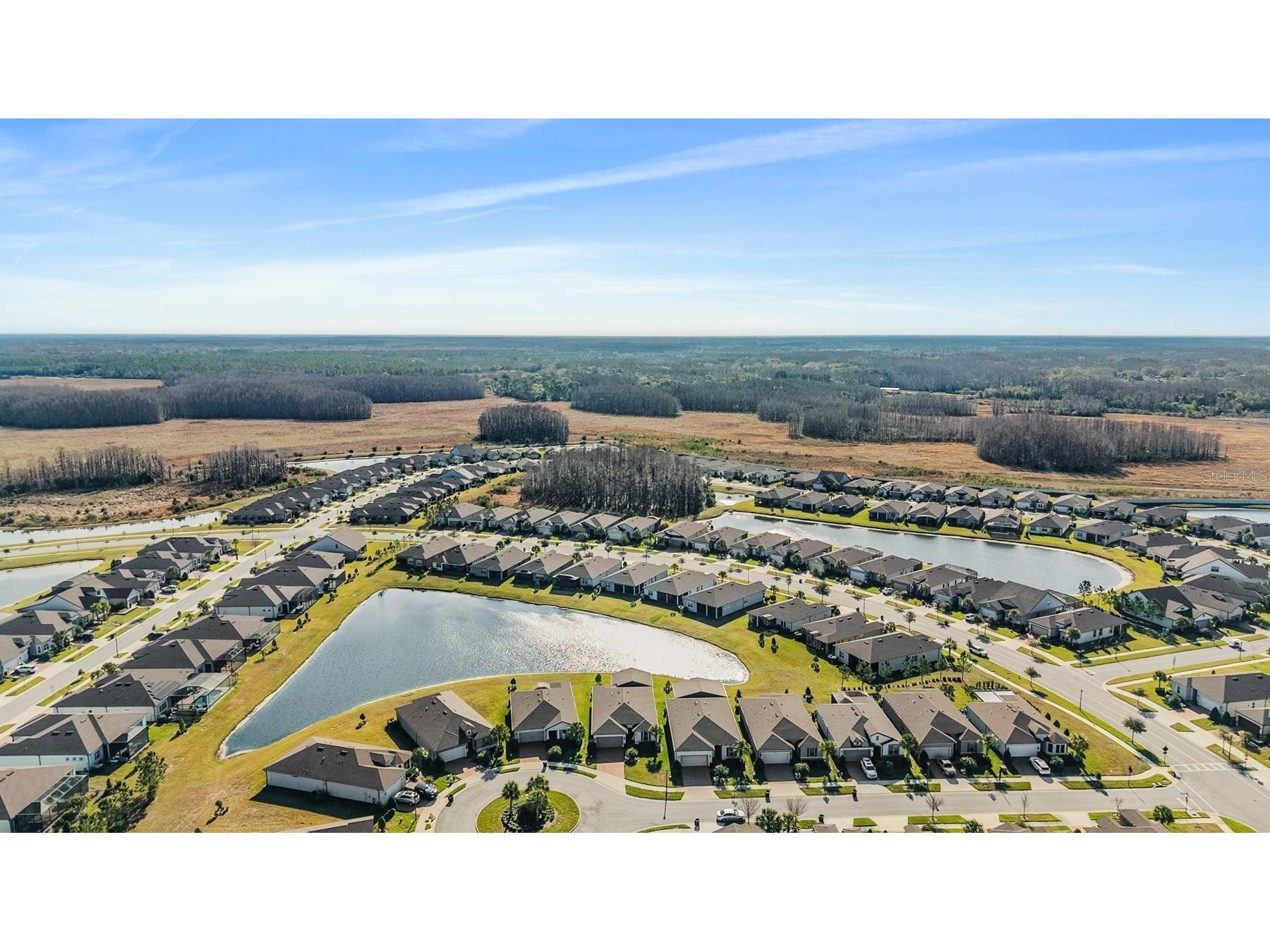 5164 Dockyard Place Land O Lakes FL 34638 TB8480925 image41