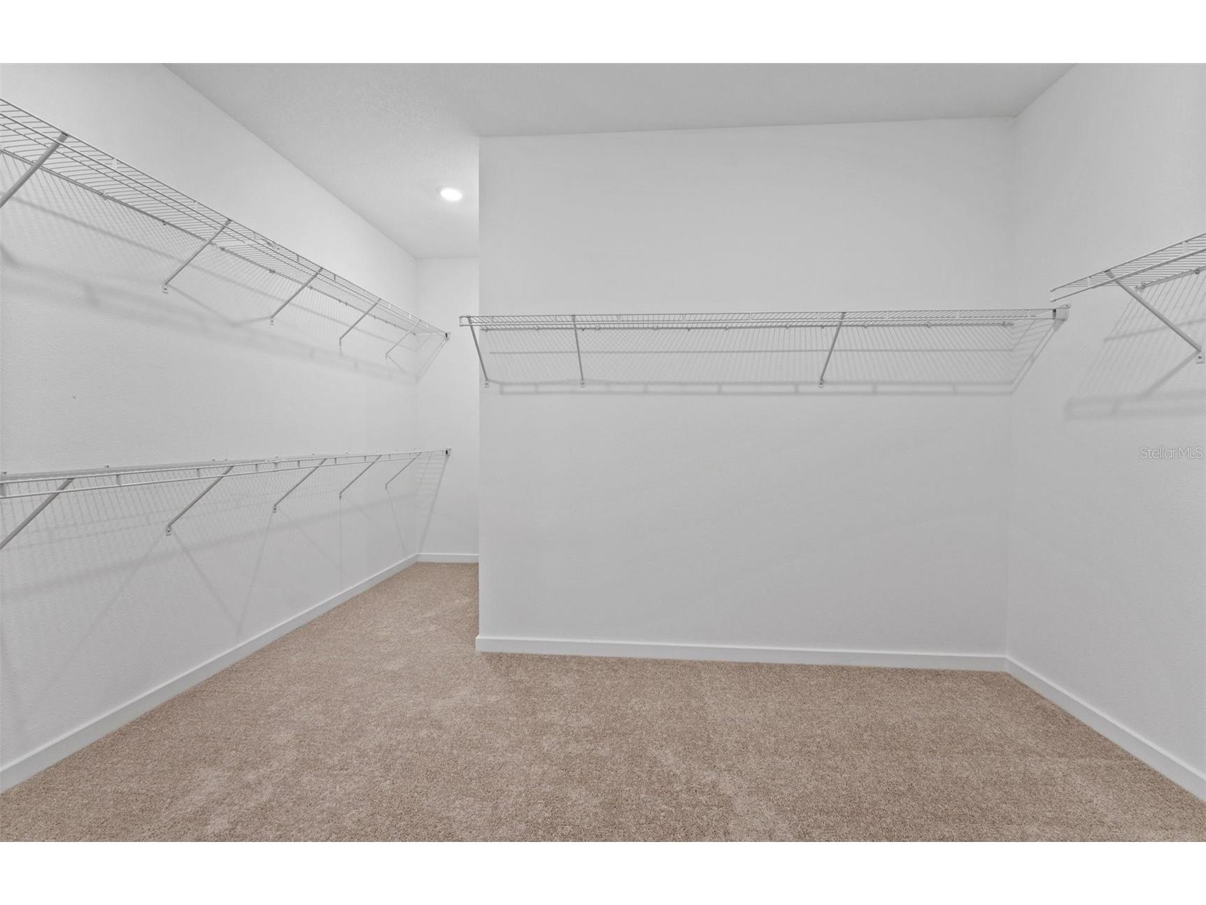 5164 Everlong Drive Apollo Beach FL 33572 TB8470033 image12
