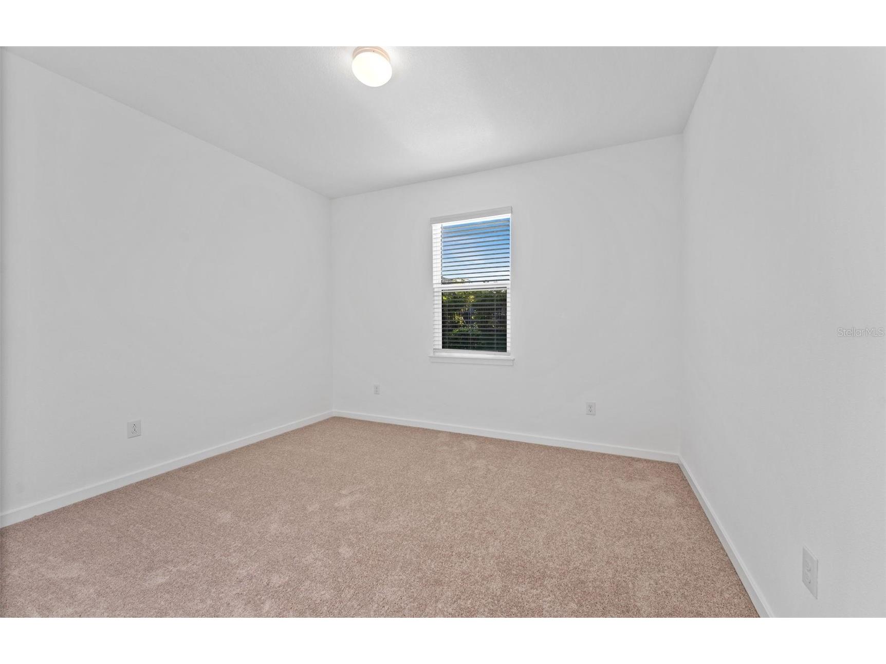 5164 Everlong Drive Apollo Beach FL 33572 TB8470033 image13