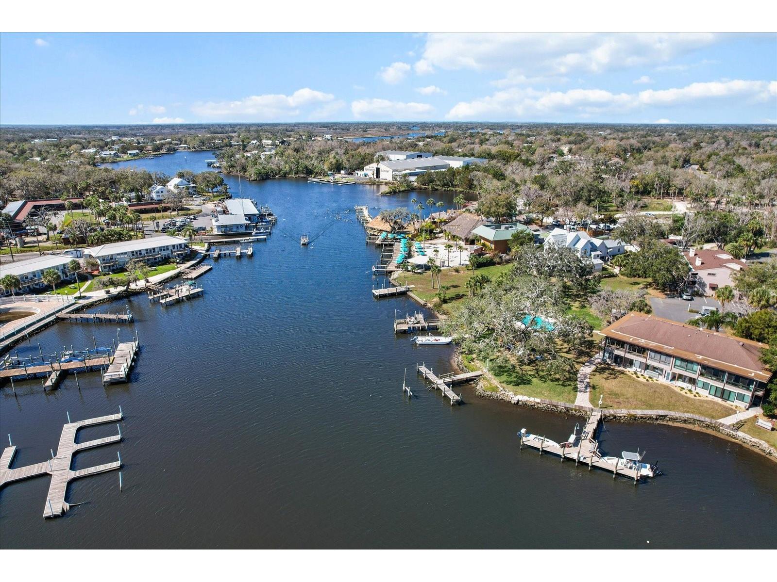 5164 S Swiftwater Way Homosassa FL 34448 - HOMOSASSA RIVER TB8472940 image56