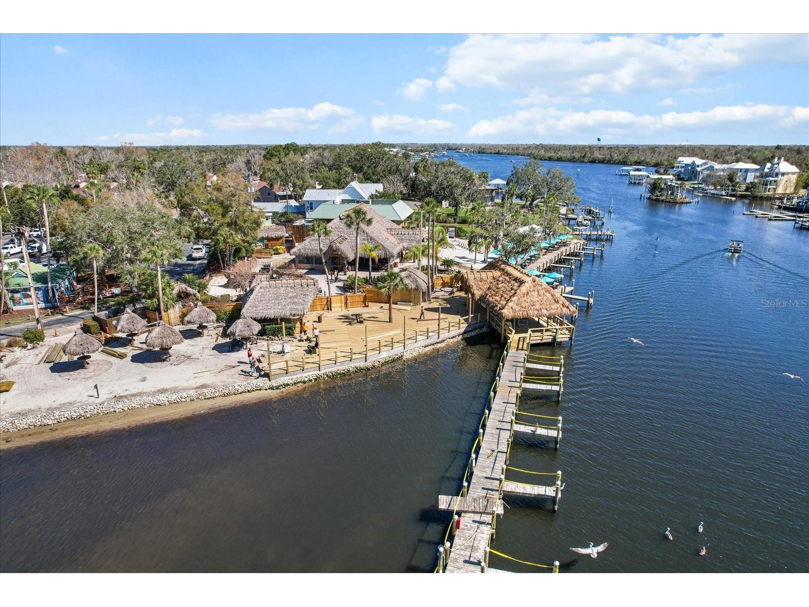 5164 S Swiftwater Way Homosassa FL 34448 - HOMOSASSA RIVER TB8472940 image58