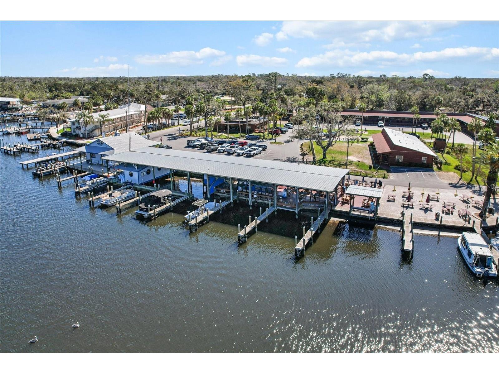 5164 S Swiftwater Way Homosassa FL 34448 - HOMOSASSA RIVER TB8472940 image59