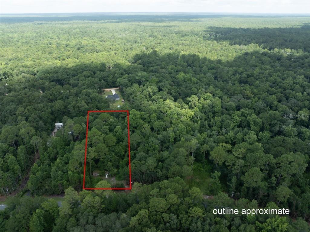 5165 Chicory Circle Middleburg FL 32068 GC532197 image1