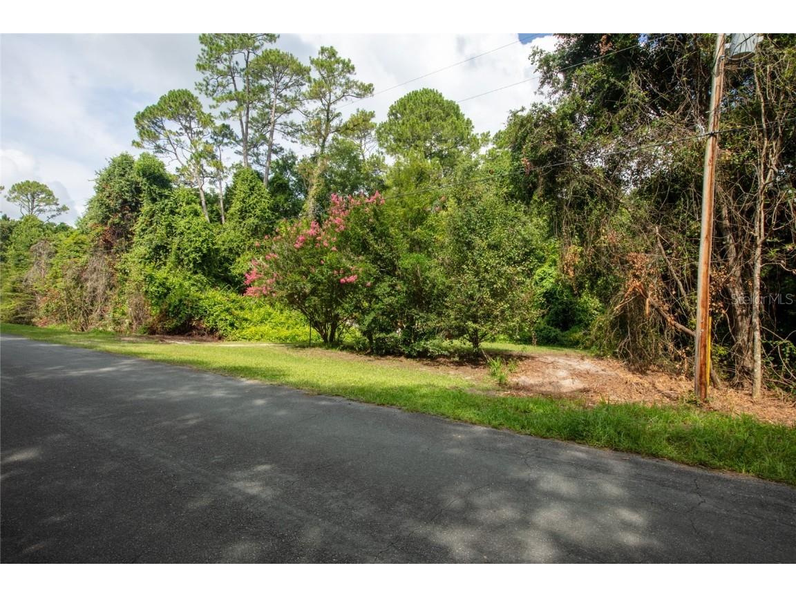 5165 Chicory Circle Middleburg FL 32068 GC532197 image10