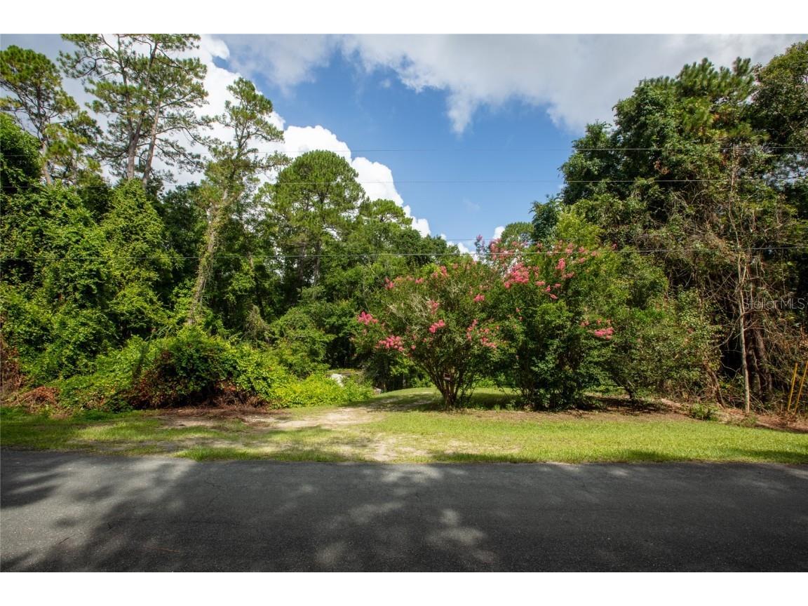 5165 Chicory Circle Middleburg FL 32068 GC532197 image11