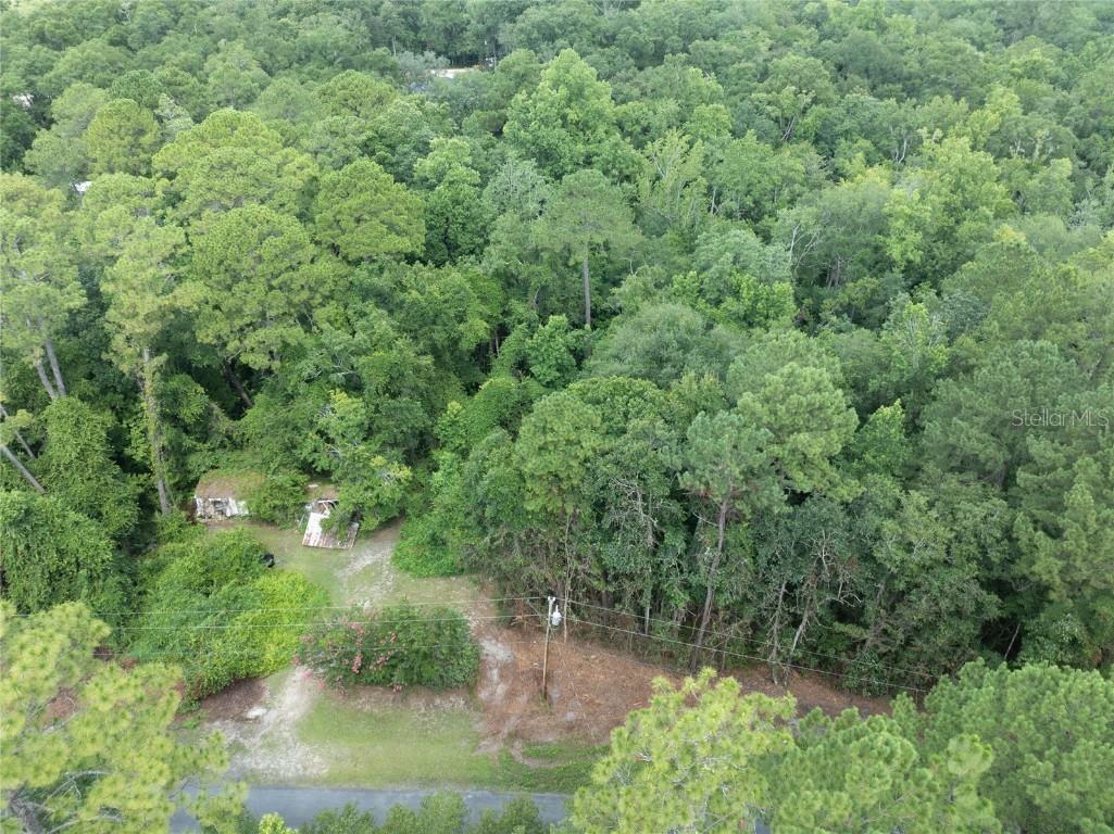 5165 Chicory Circle Middleburg FL 32068 GC532197 image12