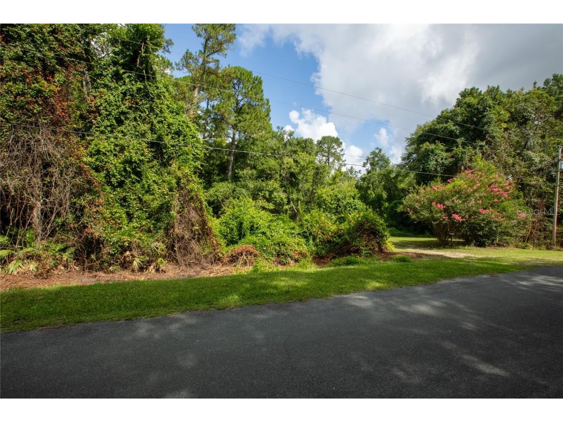 5165 Chicory Circle Middleburg FL 32068 GC532197 image13