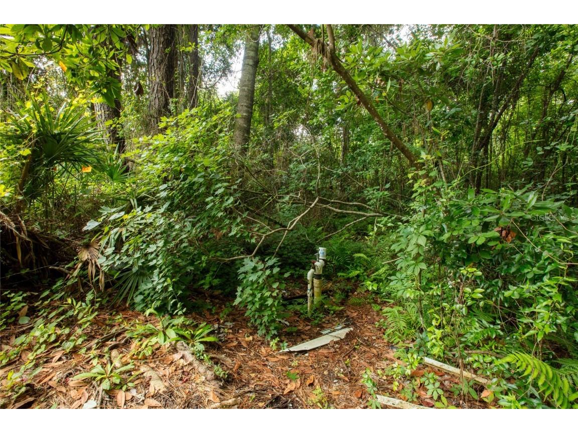 5165 Chicory Circle Middleburg FL 32068 GC532197 image15