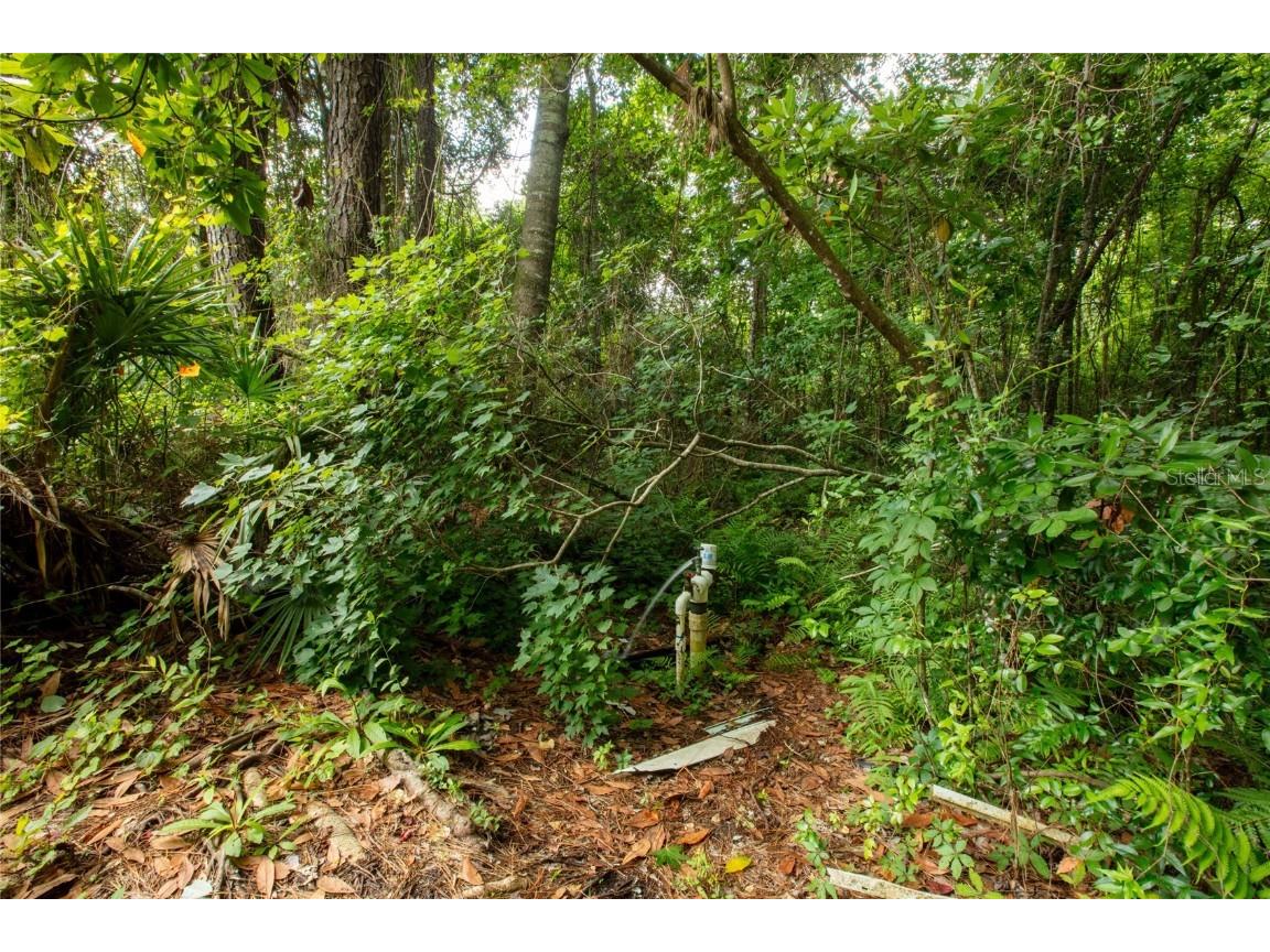 5165 Chicory Circle Middleburg FL 32068 GC532197 image16