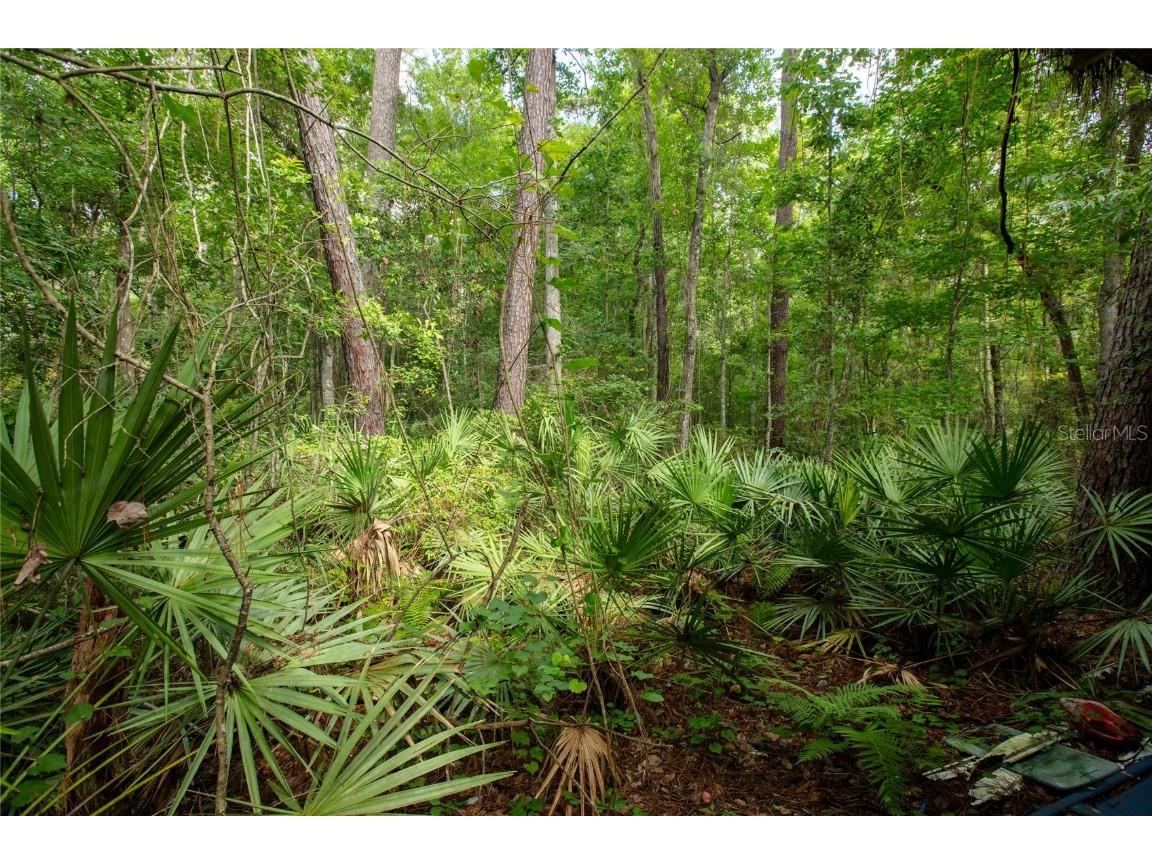 5165 Chicory Circle Middleburg FL 32068 GC532197 image18