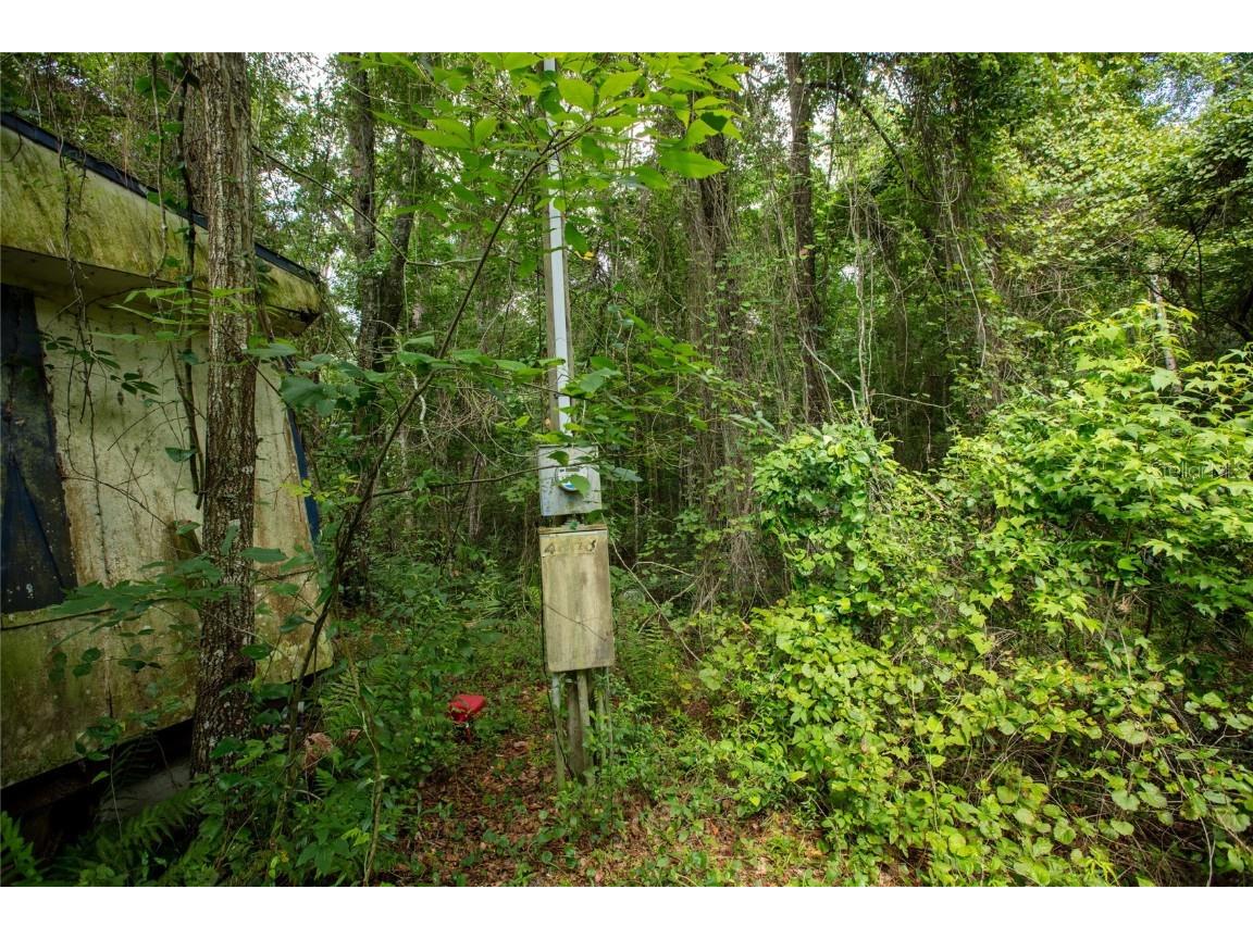 5165 Chicory Circle Middleburg FL 32068 GC532197 image20