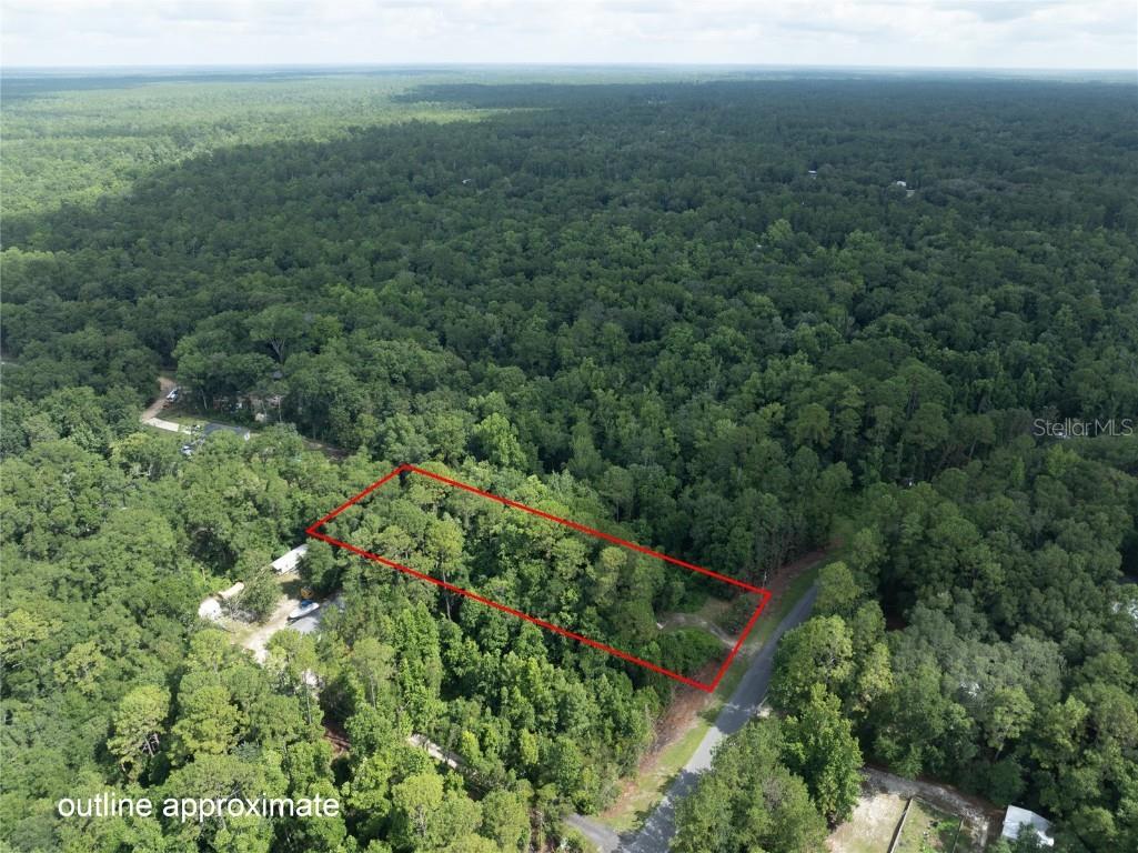 5165 Chicory Circle Middleburg FL 32068 GC532197 image7