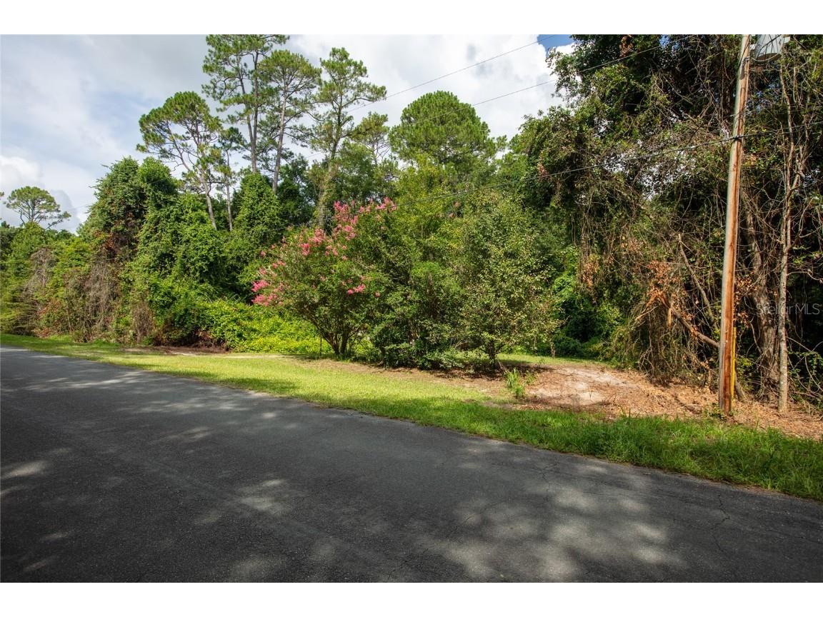 5165 Chicory Circle Middleburg FL 32068 GC532197 image8