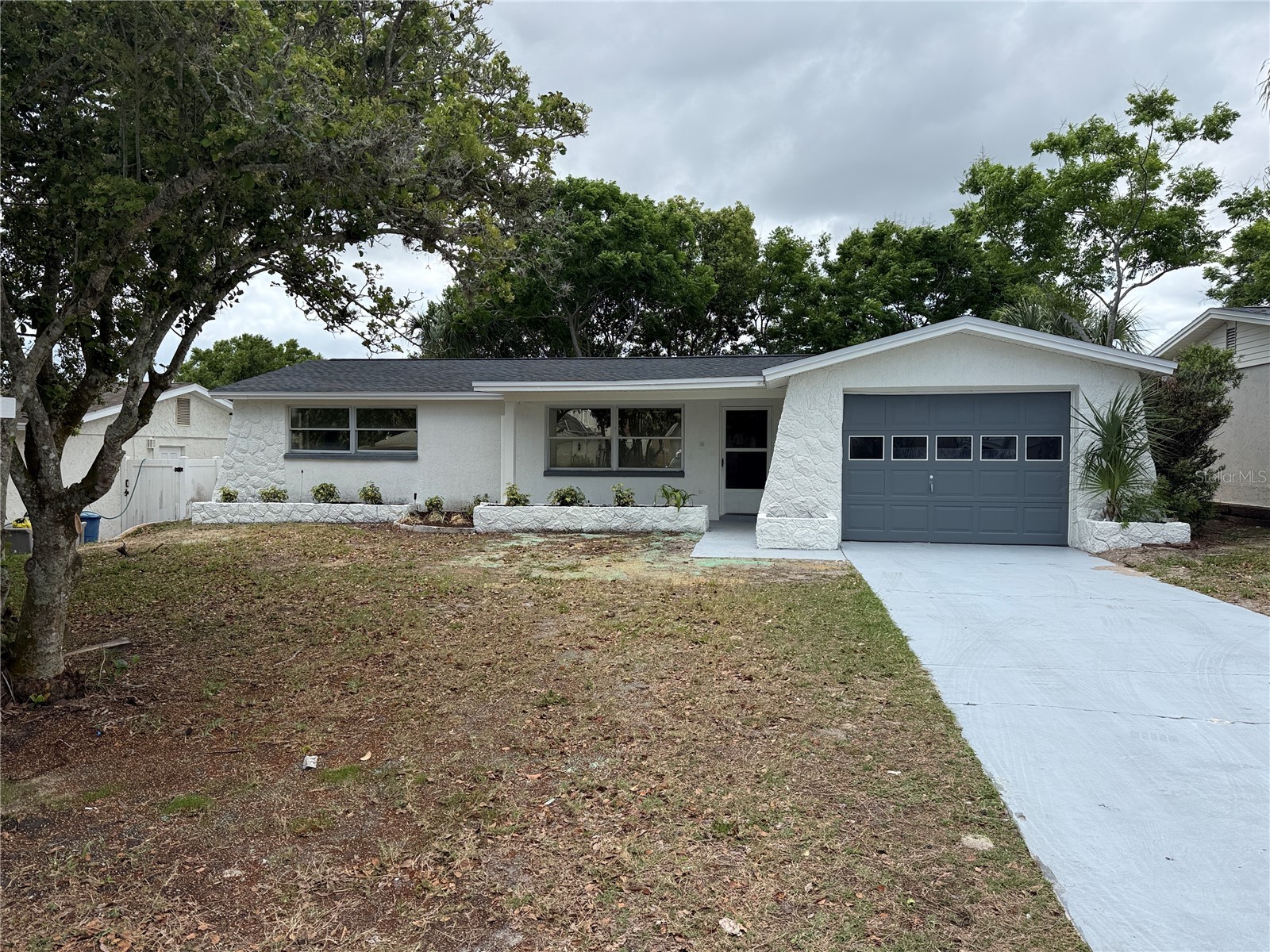 5165 Greenwood Street New Port Richey FL 34653 TB8495586 image1
