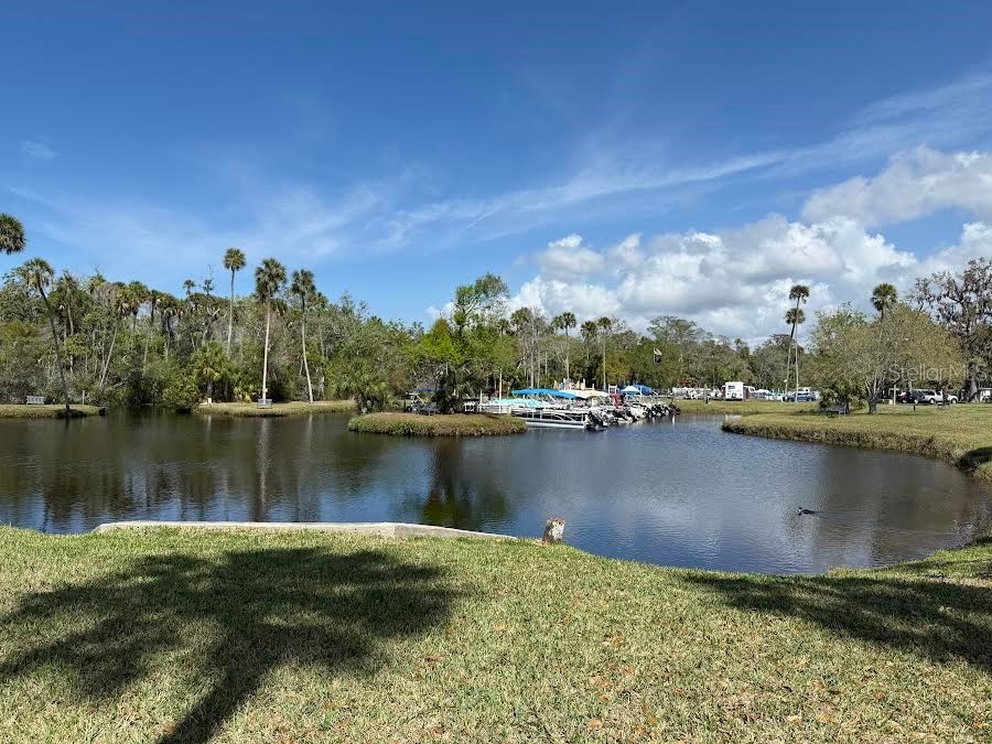 5168 Rubber Tree Circle New Port Richey FL 34653 TB8485154 image33