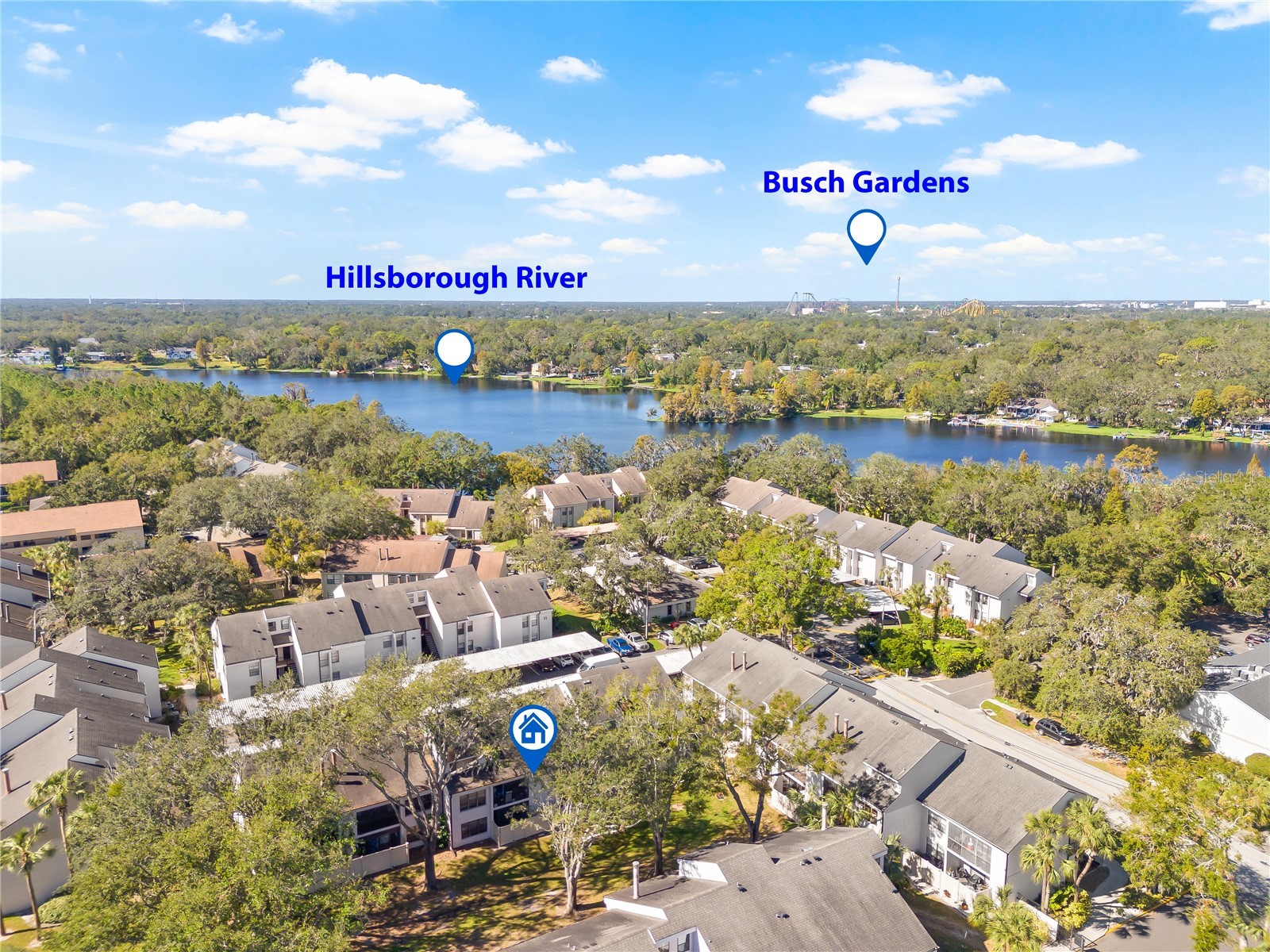 5169 Puritan Circle Tampa FL 33617 TB8486793 image25