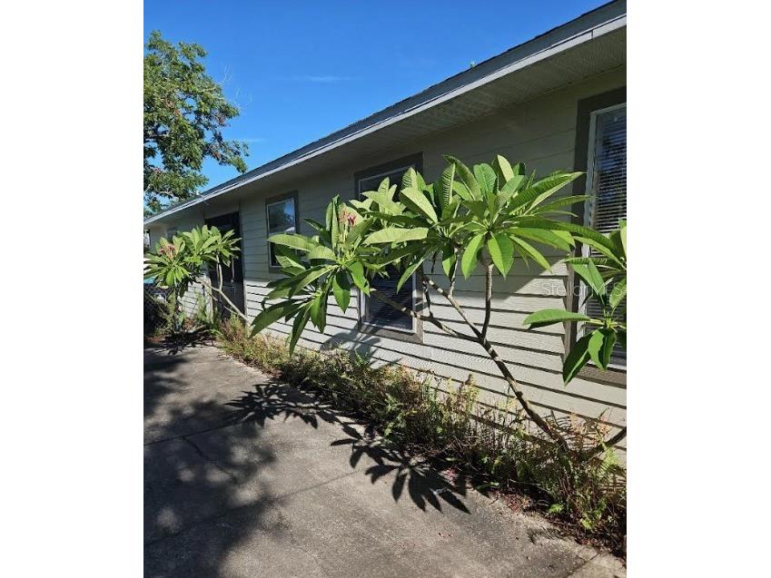517 Albany Avenue Orlando FL 32805 O6385540 image19