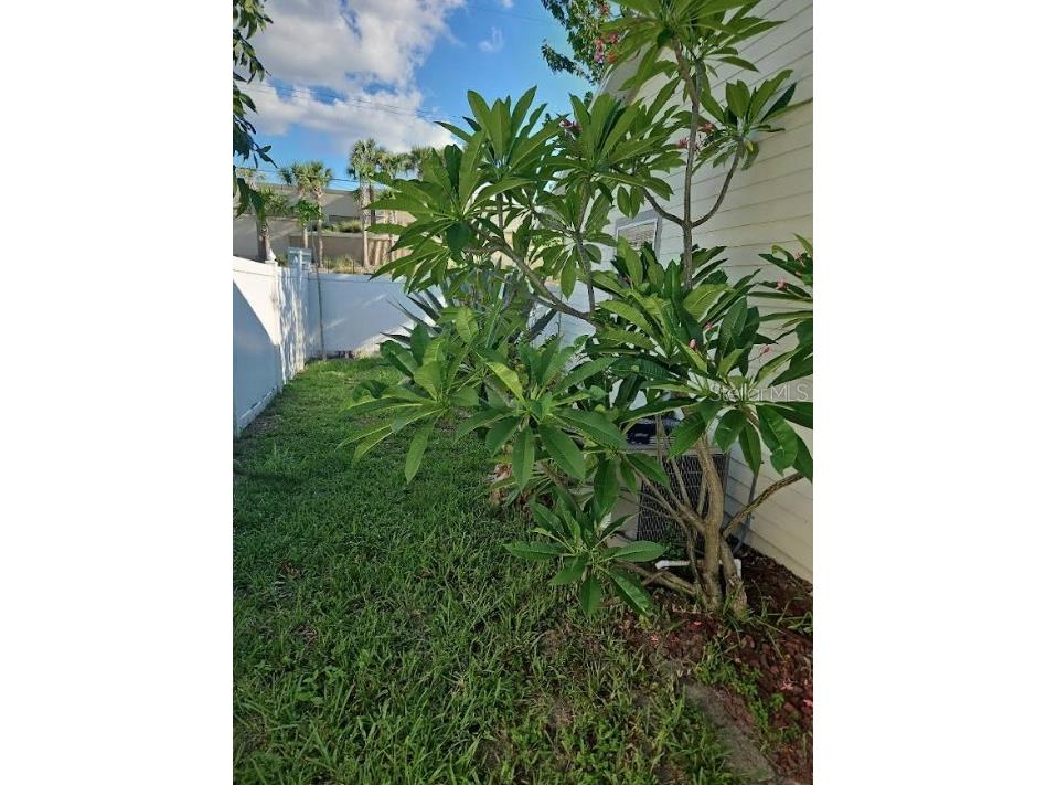 517 Albany Avenue Orlando FL 32805 O6385540 image24