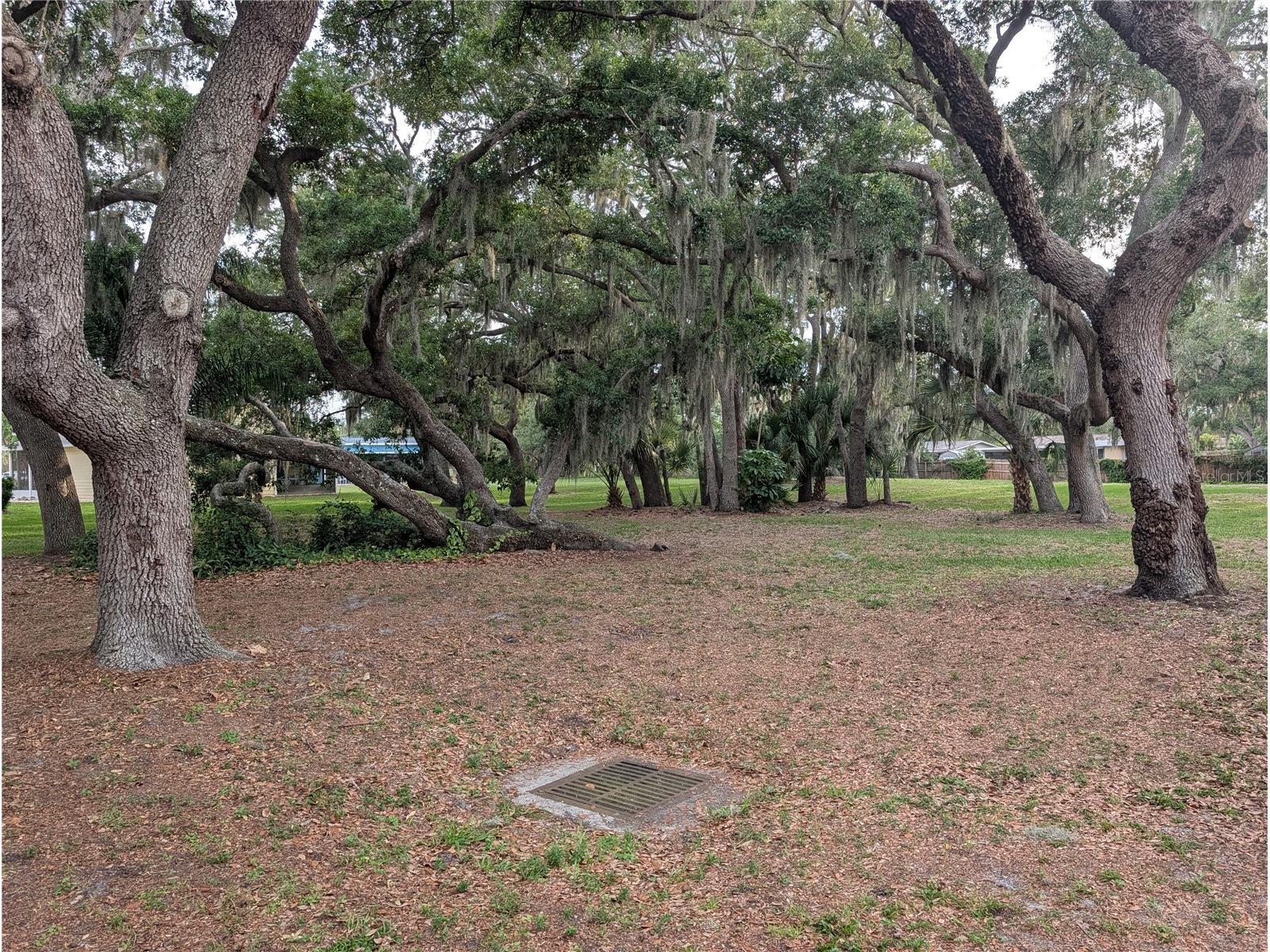 517 Bearded Oaks Circle Sarasota FL 34232 A4696585 image28