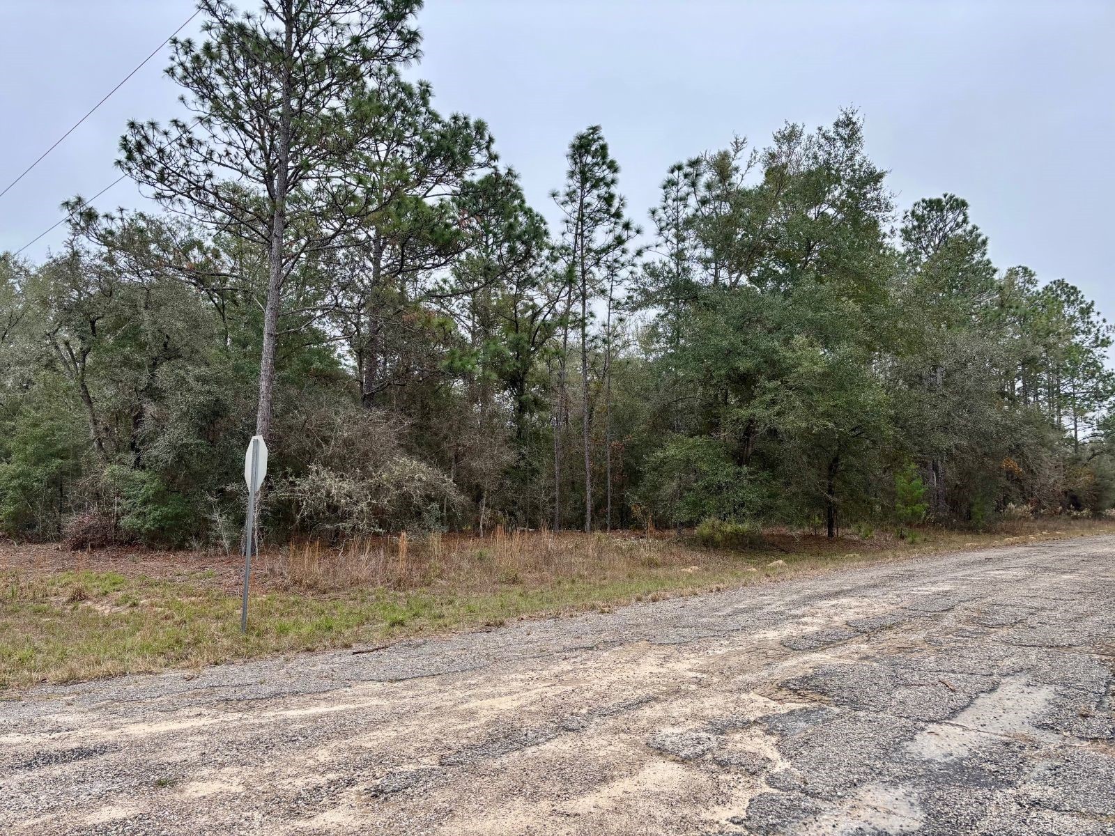 517 E Nemo Drive Citrus Springs FL 34434 G5105465 image1