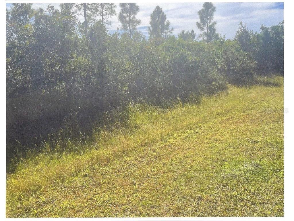 517 Granada Drive Indian Lake Estates FL 33855 O6306238 image4