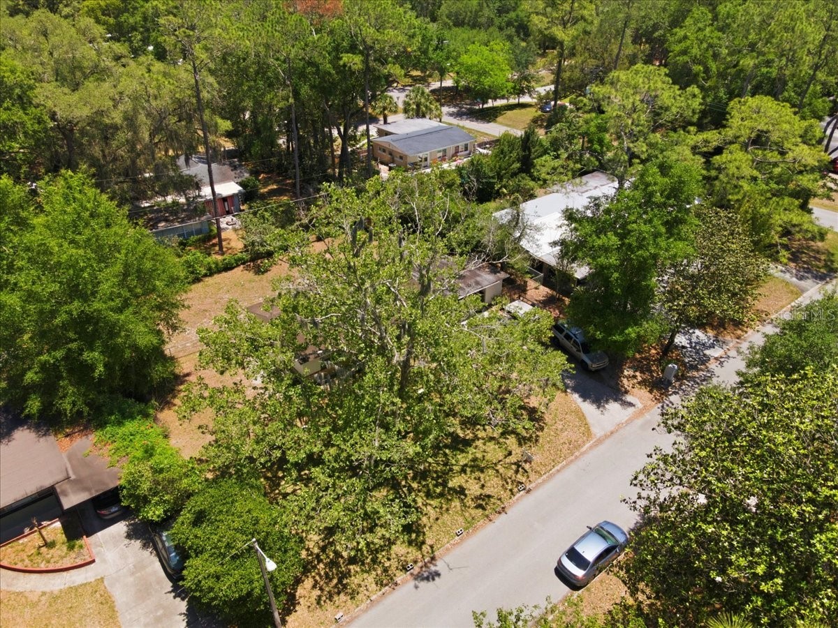 517 NW 36th Terrace Gainesville FL 32607 GC540331 image29