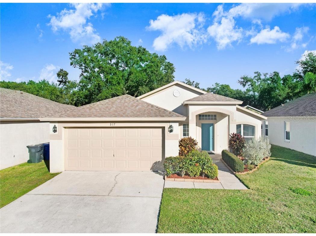 517 Royal Ridge Street Valrico FL 33594 TB8403767 image1