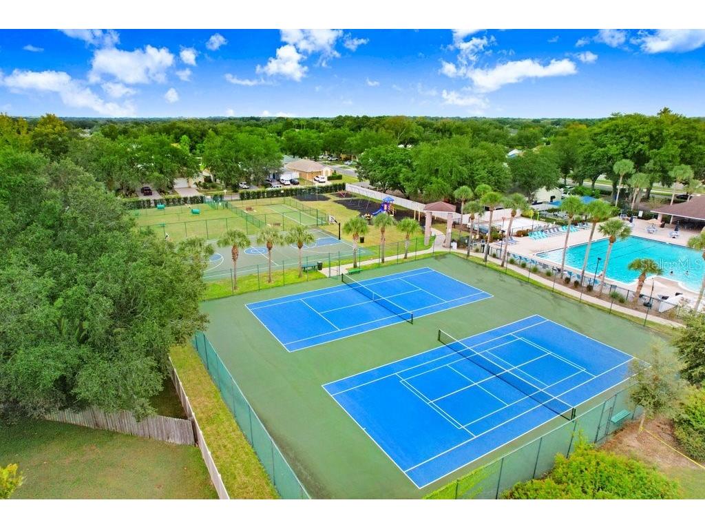 517 Royal Ridge Street Valrico FL 33594 TB8403767 image27