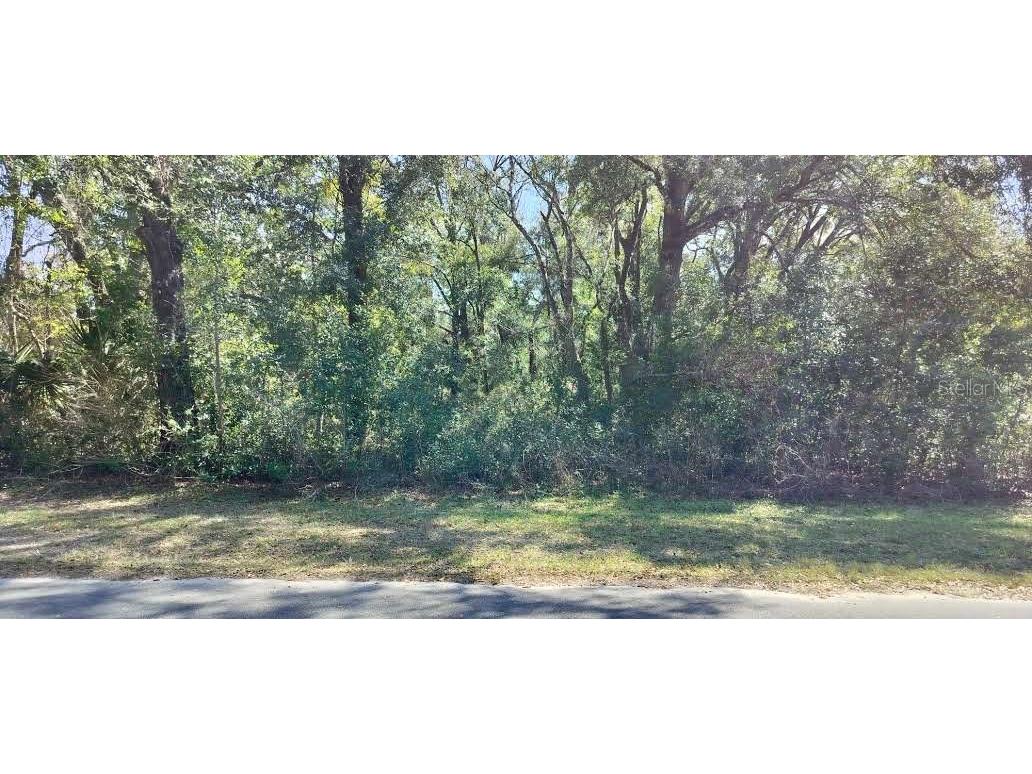 517 S Savary Avenue Inverness FL 34453 TB8354539 image1