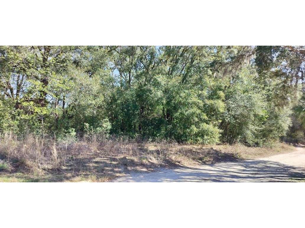 517 S Savary Avenue Inverness FL 34453 TB8354539 image10