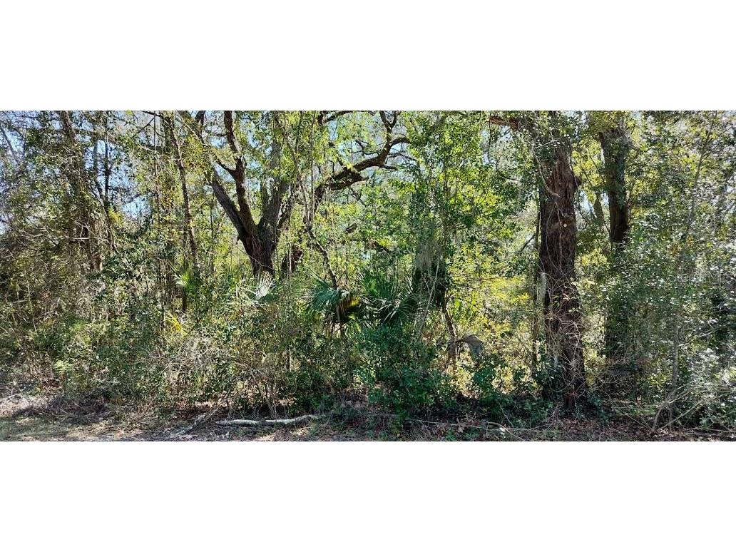 517 S Savary Avenue Inverness FL 34453 TB8354539 image11