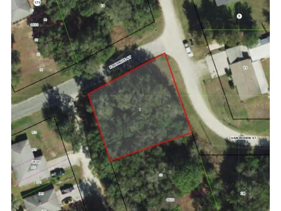 517 S Savary Avenue Inverness FL 34453 TB8354539 image13