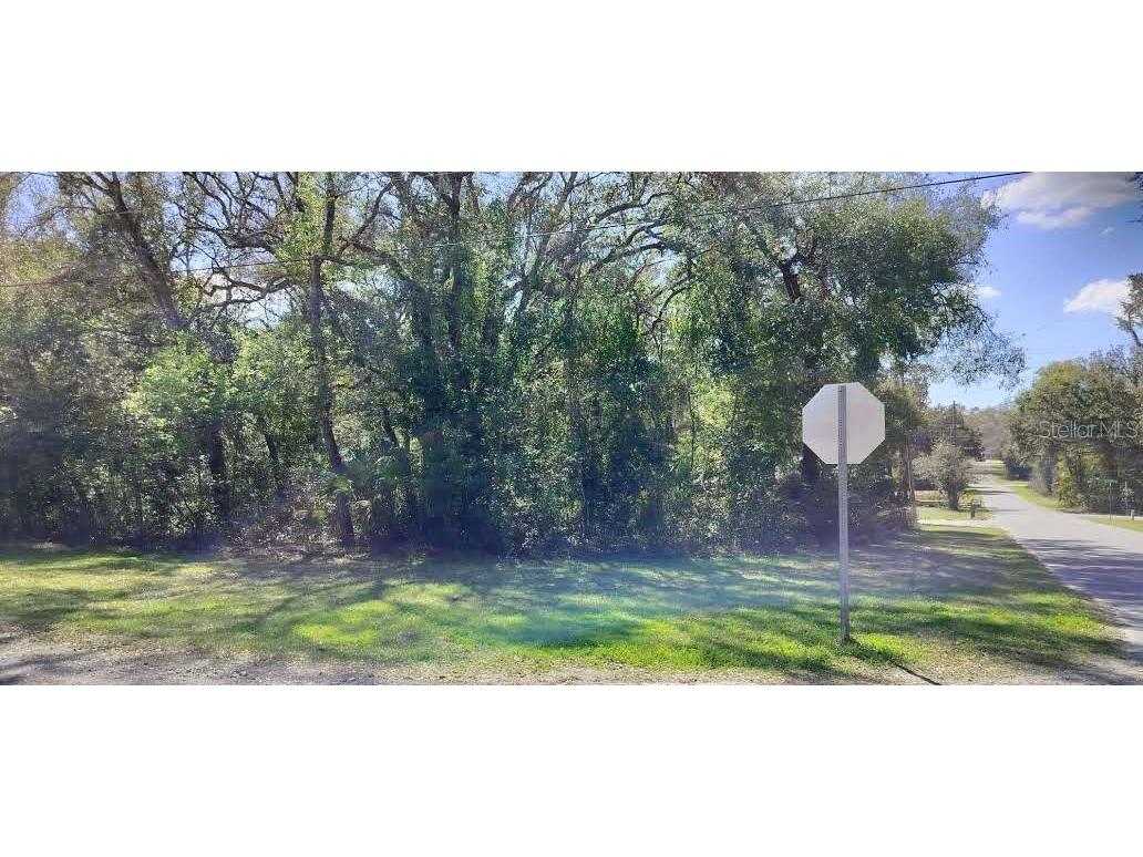 517 S Savary Avenue Inverness FL 34453 TB8354539 image2