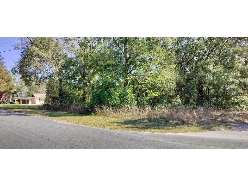 517 S Savary Avenue Inverness FL 34453 TB8354539 image3