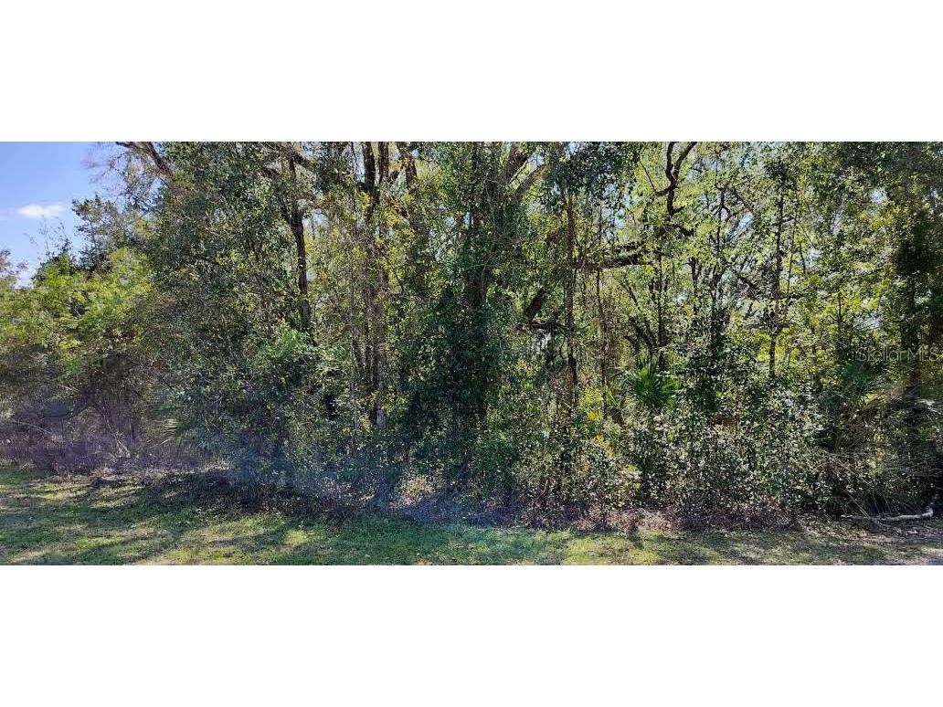 517 S Savary Avenue Inverness FL 34453 TB8354539 image5