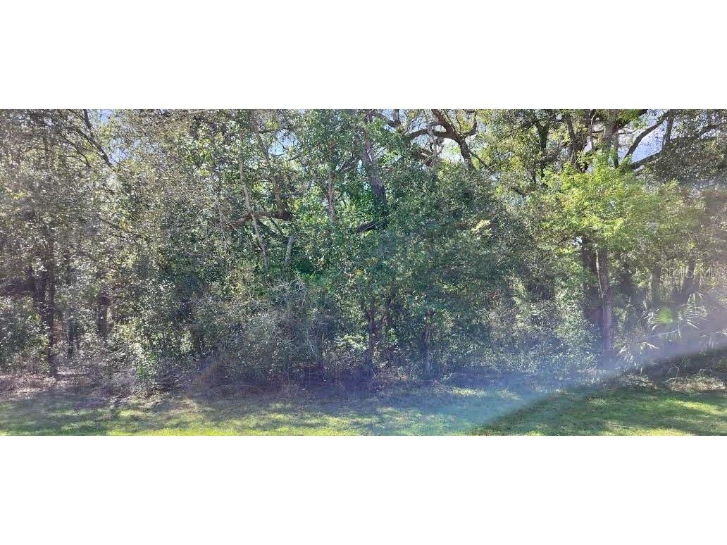 517 S Savary Avenue Inverness FL 34453 TB8354539 image6