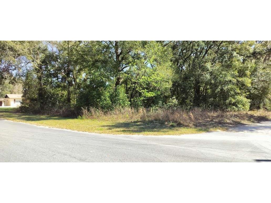 517 S Savary Avenue Inverness FL 34453 TB8354539 image7